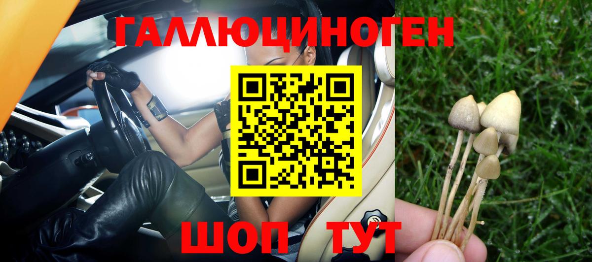 закладка  Галлюциногенные грибы мухоморы  Псилоцибиновые грибы GOLDEN TEACHER  Вход с VPN  Черногорск 