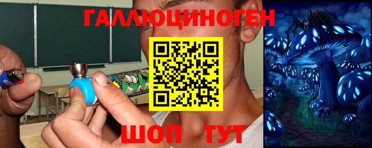 Галлюциногенные грибы Psilocybe Черногорск