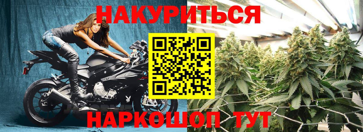 Конопля индика Черногорск
